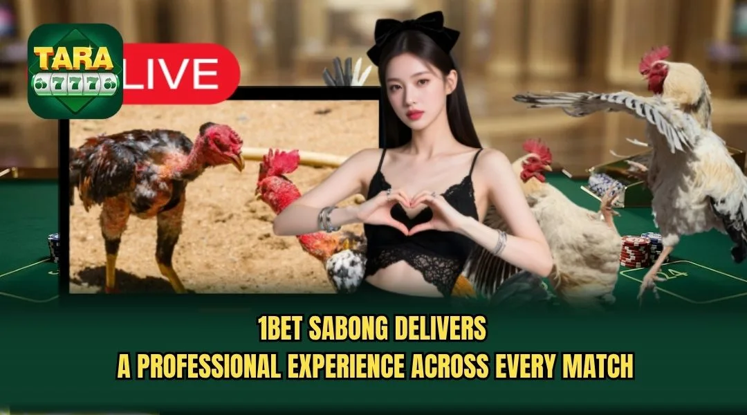 1BET sabong delivers a professional experience across every match 1BET sabong delivers a professional experience across every match