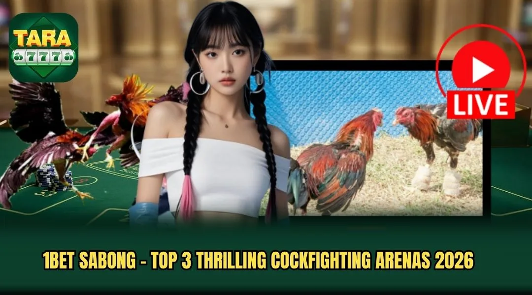 1BET Sabong - Top 3 Thrilling Cockfighting Arenas 2026
