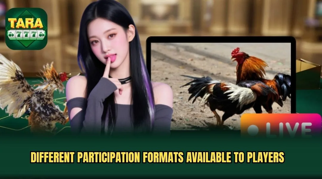 Different participation formats available to players Different participation formats available to players