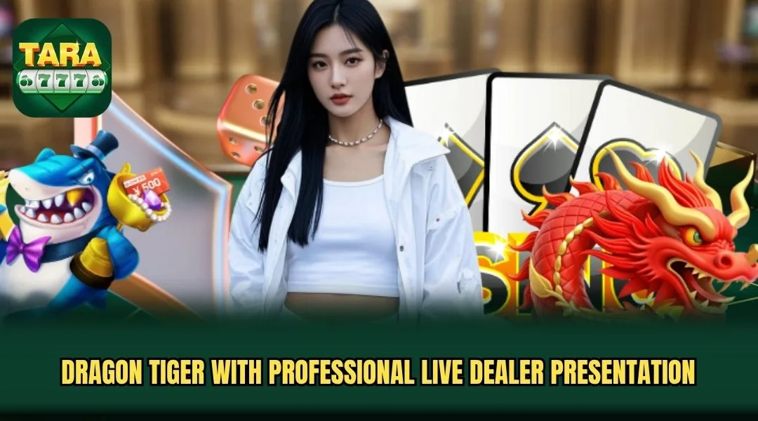 Dragon Tiger with professional live dealer presentation Dragon Tiger with professional live dealer presentation
