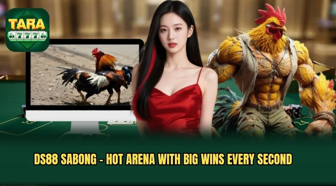 DS88 Sabong - Hot Arena With Big Wins Every Second