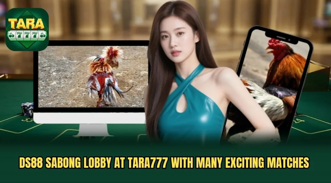 DS88 sabong lobby at TARA777 with many exciting matches DS88 sabong lobby at TARA777 with many exciting matches