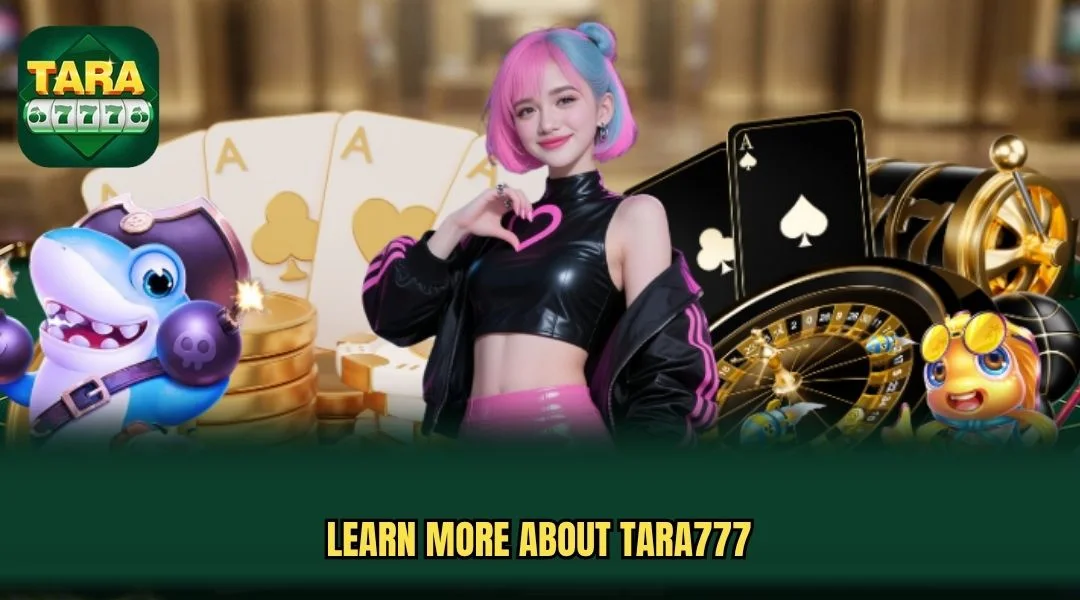 Learn more about TARA777